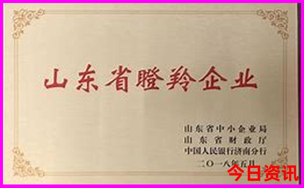 成都必去景点排名